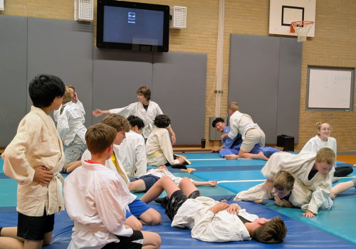 Speciale workshop voor leerlingen met Chinees uit TL1/2 en Next 1/2