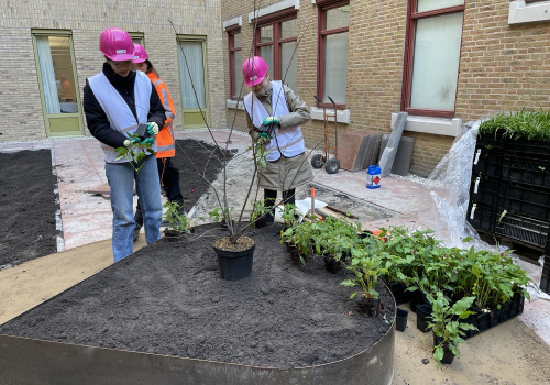 Van een kunstproject tot de echte tuinaanleg in het St. Jansdal ziekenhuis