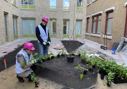 Van een kunstproject tot de echte tuinaanleg in het St. Jansdal ziekenhuis