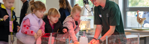 Drukbezochte Aai- en knuffeldag