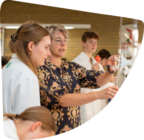 Hoe ziet de brugklas eruit?